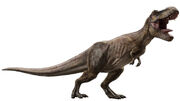 Tyrannosaurus Rex
