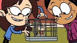 CS1E01B Rocko