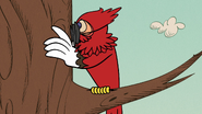 CS3E20A Sergio peeking as a woodpecker