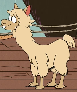 Beto