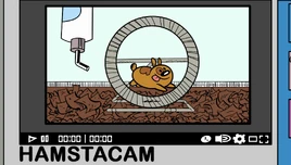 S1E02B Hamstacam
