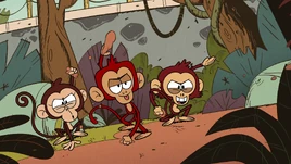 CS2E13B Monkey attack