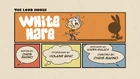 White Hare