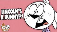 Lincoln Turns Into A Bunny 🐰 White Hare The Loud House