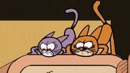 S4E17B The angry cats