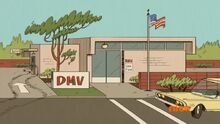 TLH - DMV.jpg