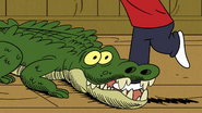 CS3E20A Carl trips on a crocodile mouth