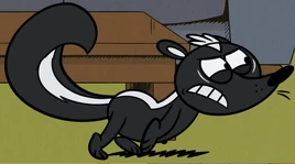 Skunk