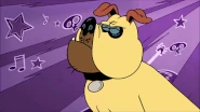 CS3E08B Malo head bangs.gif (2.95 MB)