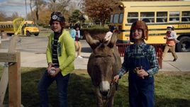 Couple of Idiots Bringing Home a Donkey
