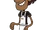 Paraag
