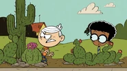 "I hate these drought-resistant lawns."