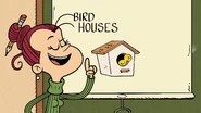 "Bird Houses!"