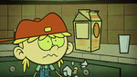 One Flu Over the Loud House