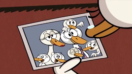 S4E09A The duck misses her family