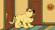 CS3E08B Malo caught the balls.png (2.03 MB)
