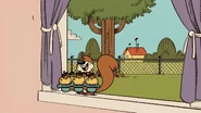 That is one heck of a squirrel