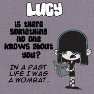 Lucy Q&A Secret