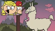 S5E20B Is that my Miss Kiddy Kalamazoo sash