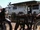 Whitehorse Trailer