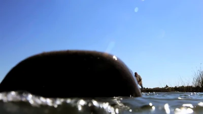 A fisherman discovers the Mercer car in the lake.
