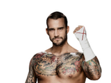 CM Punk