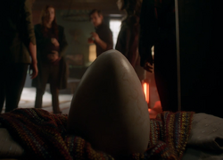 Dragon Egg