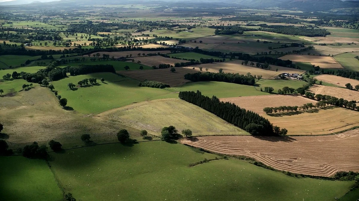 Murs | The Magicians Wiki | Fandom