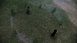 Clock Barrens