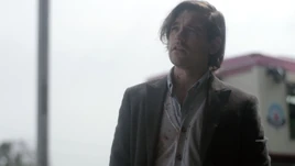 A Flock of Lost Birds