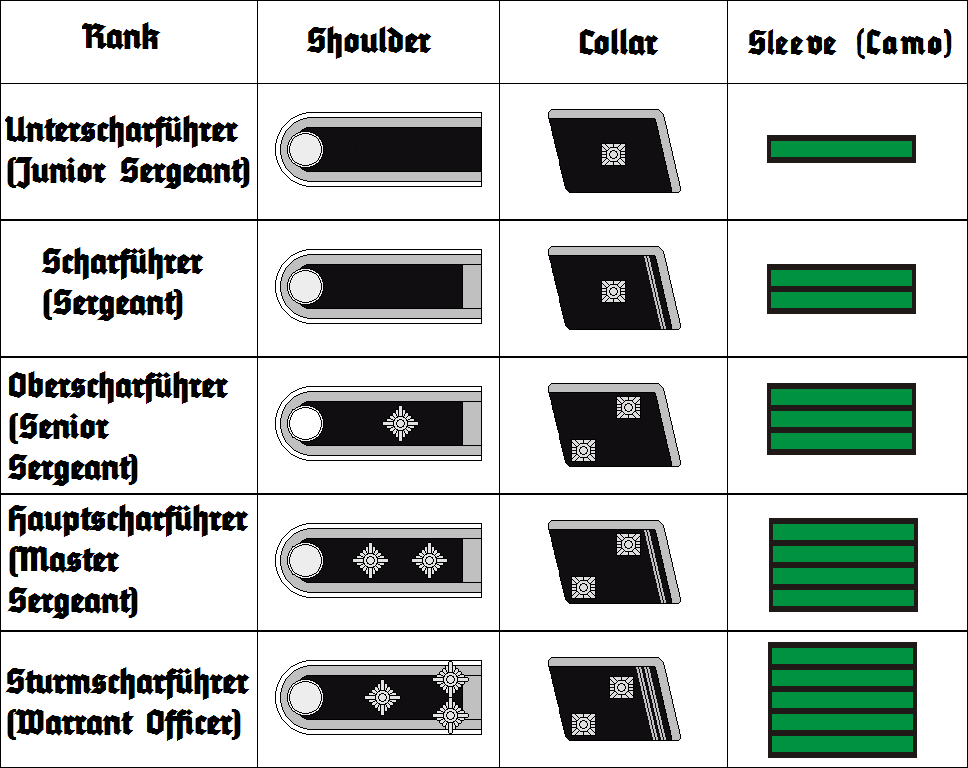 Звания немецких офицеров. Воинские звания СС В фашистской Германии. Знаки различия вермахта и войск СС. Звания в армии фашистской Германии. Воинские звания СС 1941.