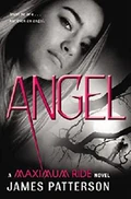ANGEL (book) (34 KB) ANGEL