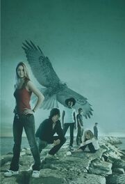 The Flock (Maximum Ride Facebook image)