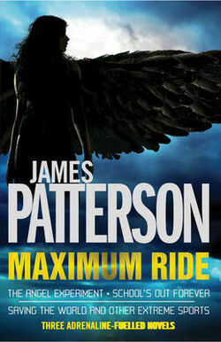 Maximum ride the angel experiment summary