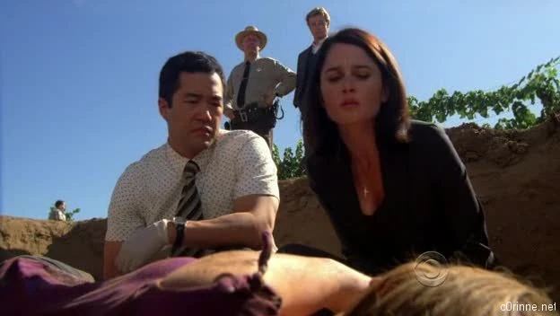 Red Hair And Silver Tape The Mentalist Wiki Fandom