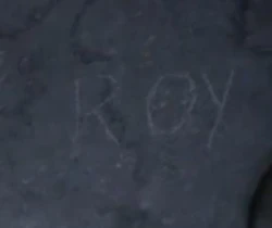 The name Roy drawn by Miranda