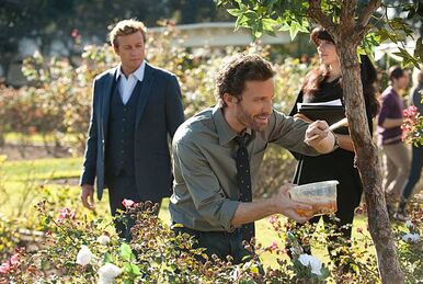 TV Central — Patrick Jane and Teresa Lisbon The Mentalist 5x05