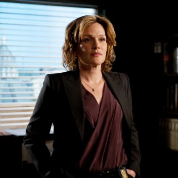 Susan Darcy The Mentalist Wiki Fandom Крис лонг, эрик ланёвилль, джон шоуолтер. susan darcy the mentalist wiki fandom