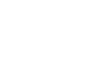 Theme Park Database