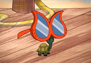 Sunglasses ("Mr. Turtleton's Wild Ride")