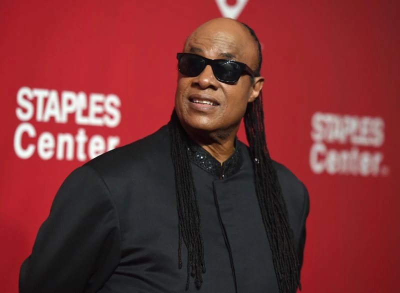 Stevie Wonder | The Music Method Wiki | Fandom