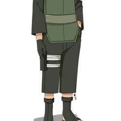 Koshiro Naoru, Naruto Fanon Wiki, Fandom