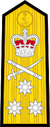 Collor insignia for a Vice Admiral