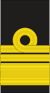 Sleeve insignia for a Vice Admiral