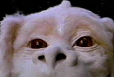 The Neverending Story - Wikipedia