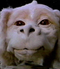 neverending story flying dog name