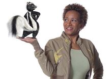 Wanda-wanda-sykes-2885477-500-350.jpg