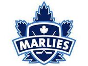 Toronto Marlies
