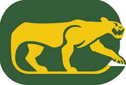 Chicago cougars.png