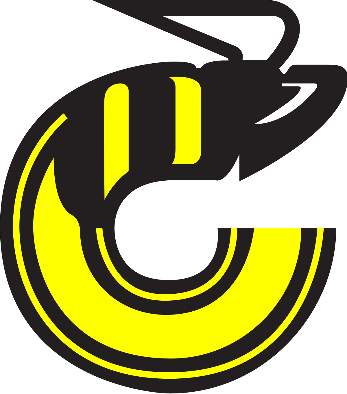 Cincinnati Stingers - Franchise Overview 